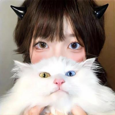 宝贝大盗